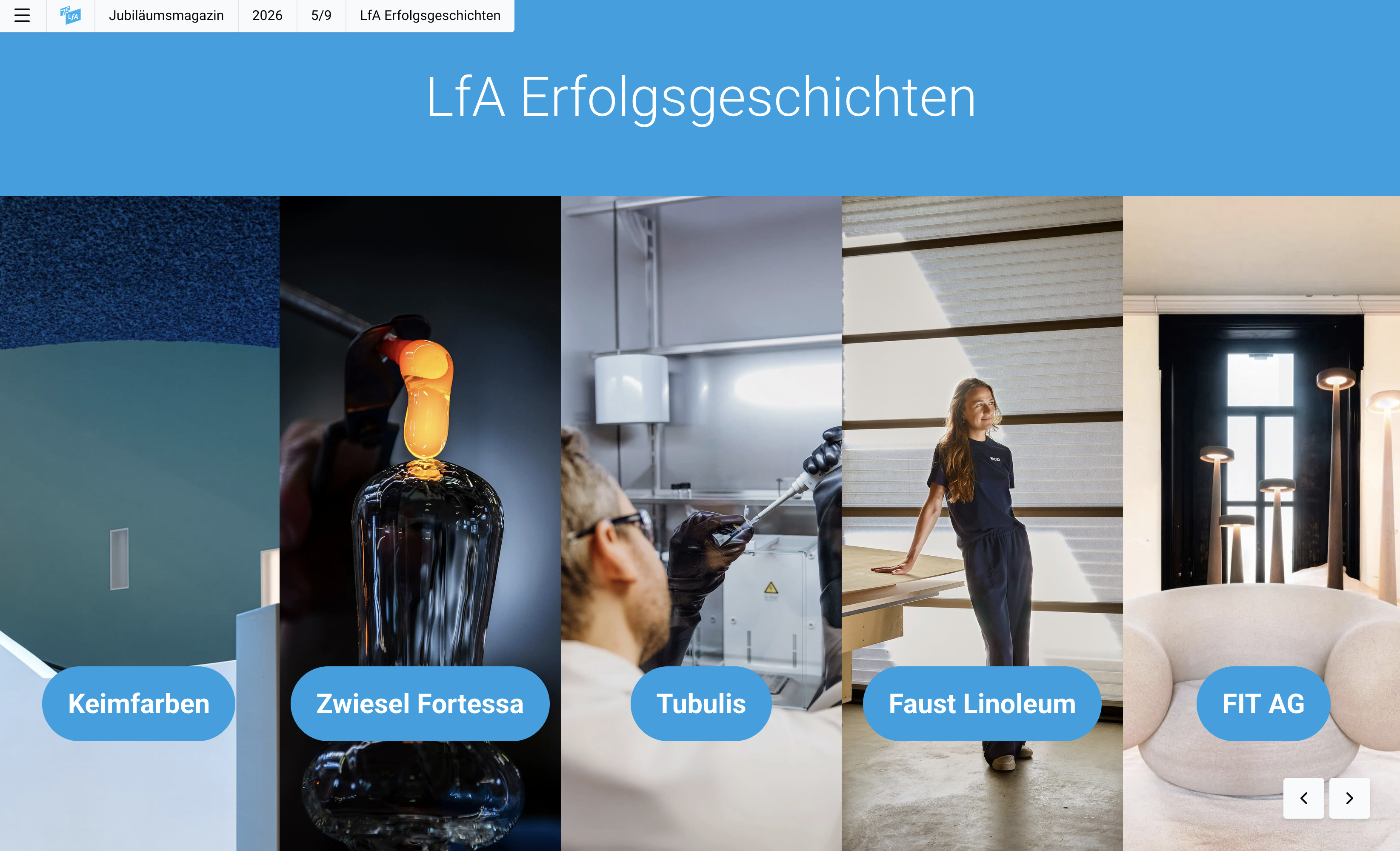 Die Seite der LfA Erfolgsgeschichten