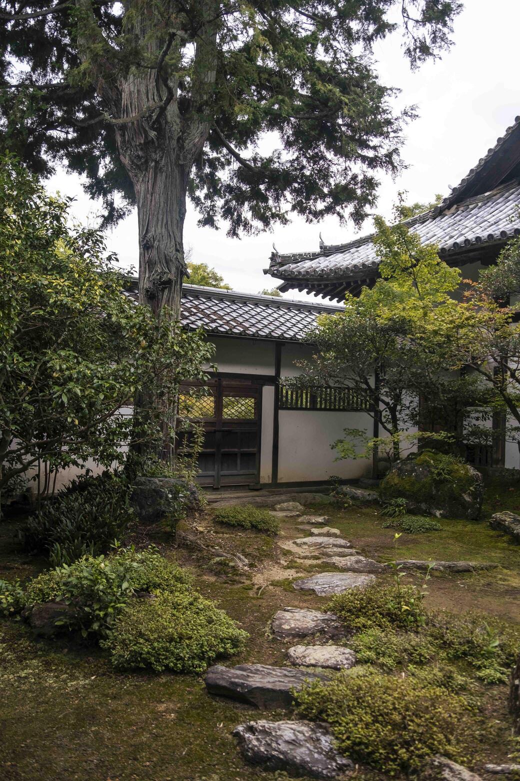 Japan 2024